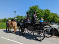 PXL_20230513_103255249