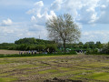 PXL_20230514_114009655
