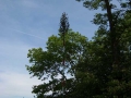 0905-008