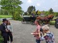 PXL_20220507_101943738