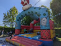 PXL_20220508_140635045