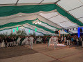 PXL_20220507_181702105
