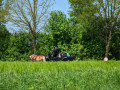 PXL_20230513_105700189
